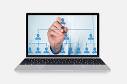 Organizational structure